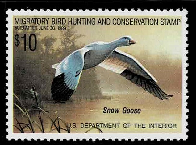 Single    Face Value Duck Stamps RW 55