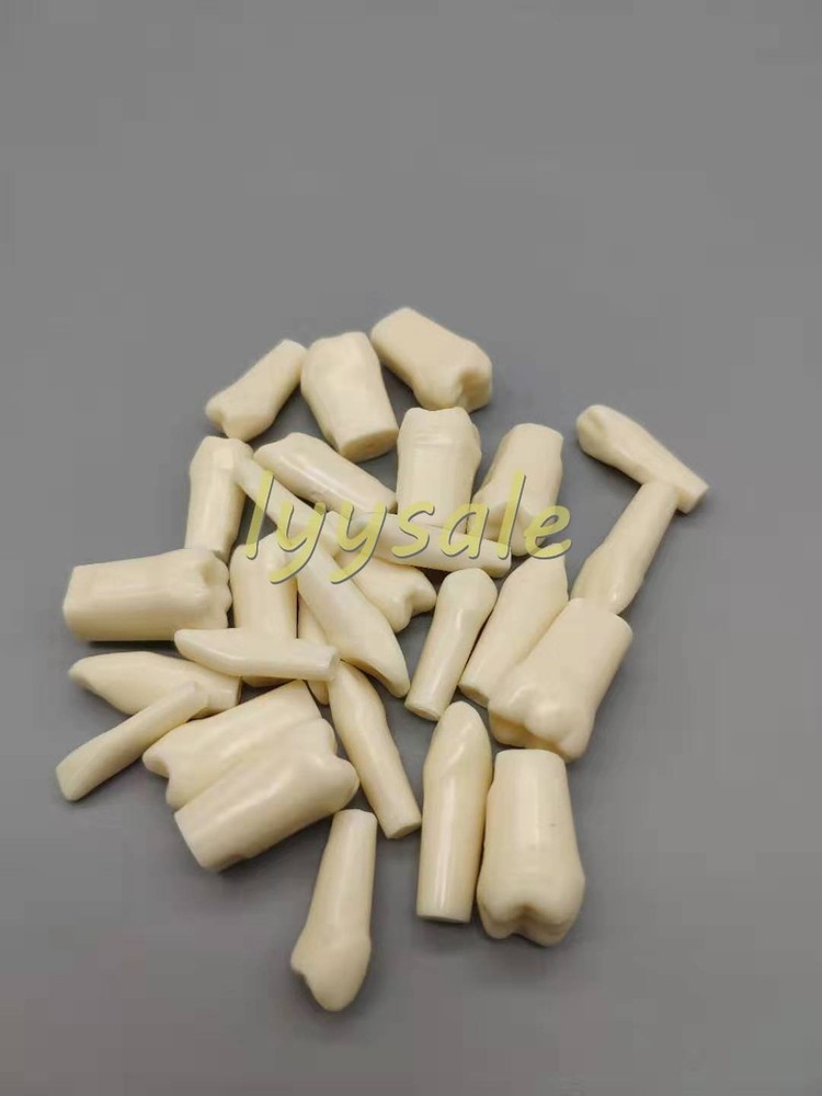 Dental Artificial Resin Teeth Full Mouth Replacement Typodont Model