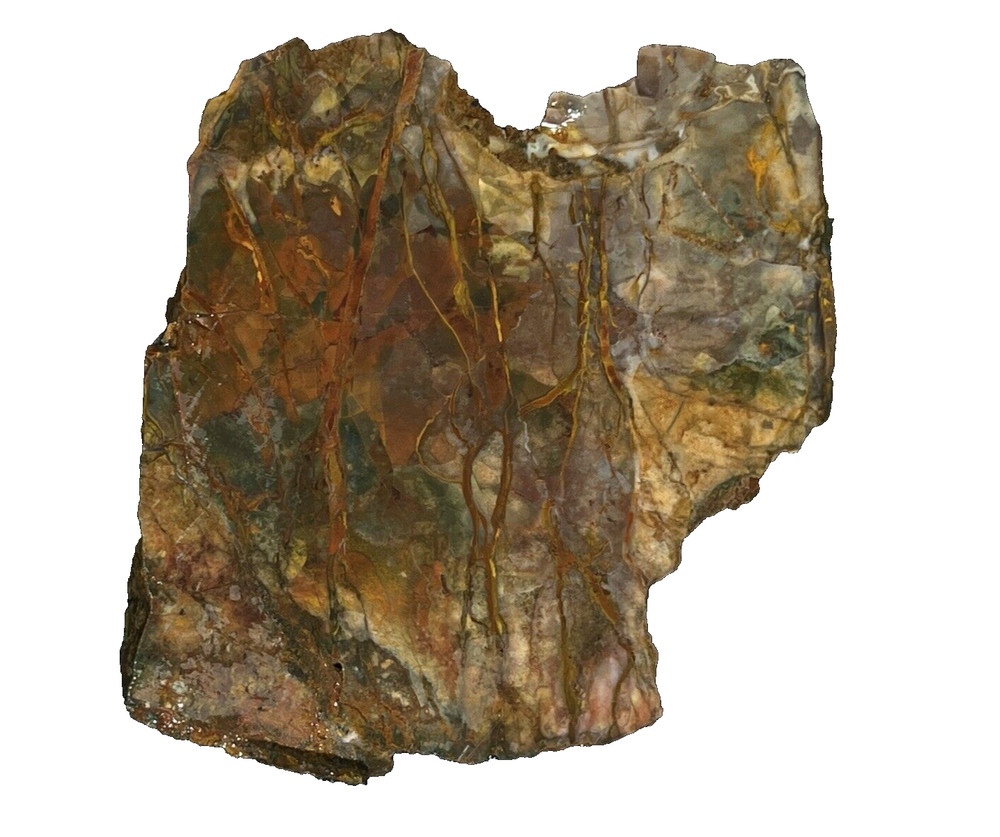 Morrisonite Jasper 485 g Oregon, amazing patterns/red striations/veining