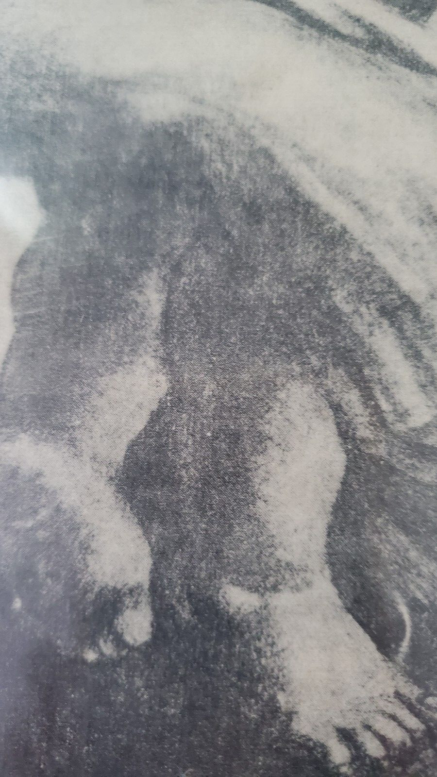 VTG Charles Wilbert White Lithograph Ye Shall Inherit The Earth " 1953 Signed