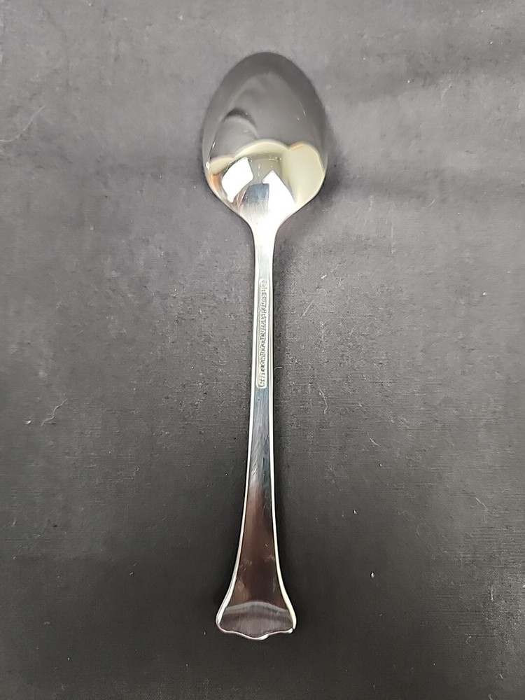 Reed & Barton Radiance Stainless Flatware Shiny Glossy Replacement Teaspoon