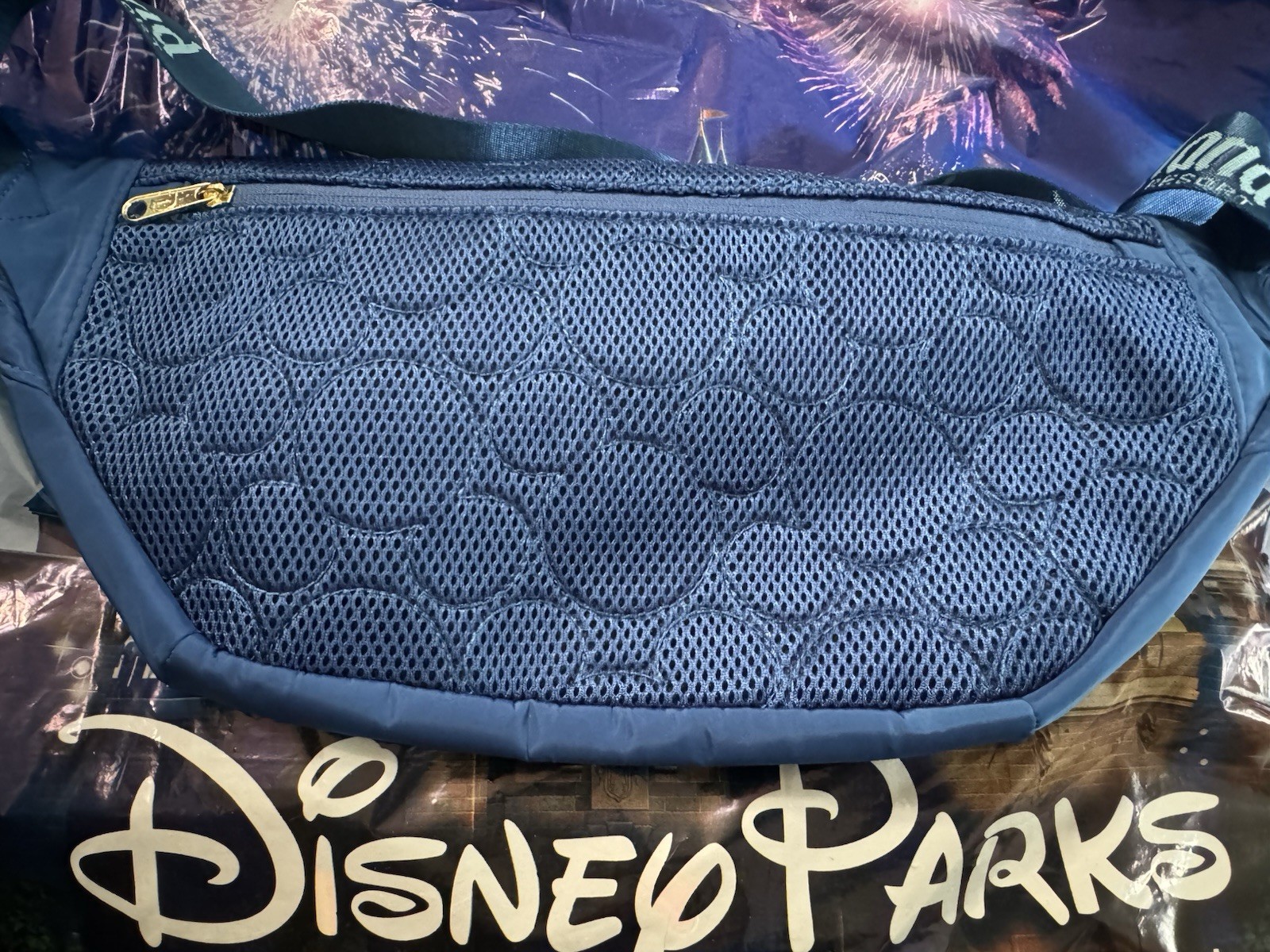 NEW Disneyland Belt Bag Fanny Pack Park Icons DCA Embroidered Mickey Castle