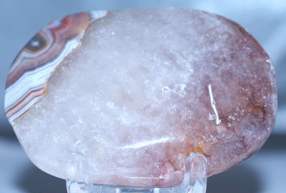 Agate Palm Stone 2.35"/69 Grams
