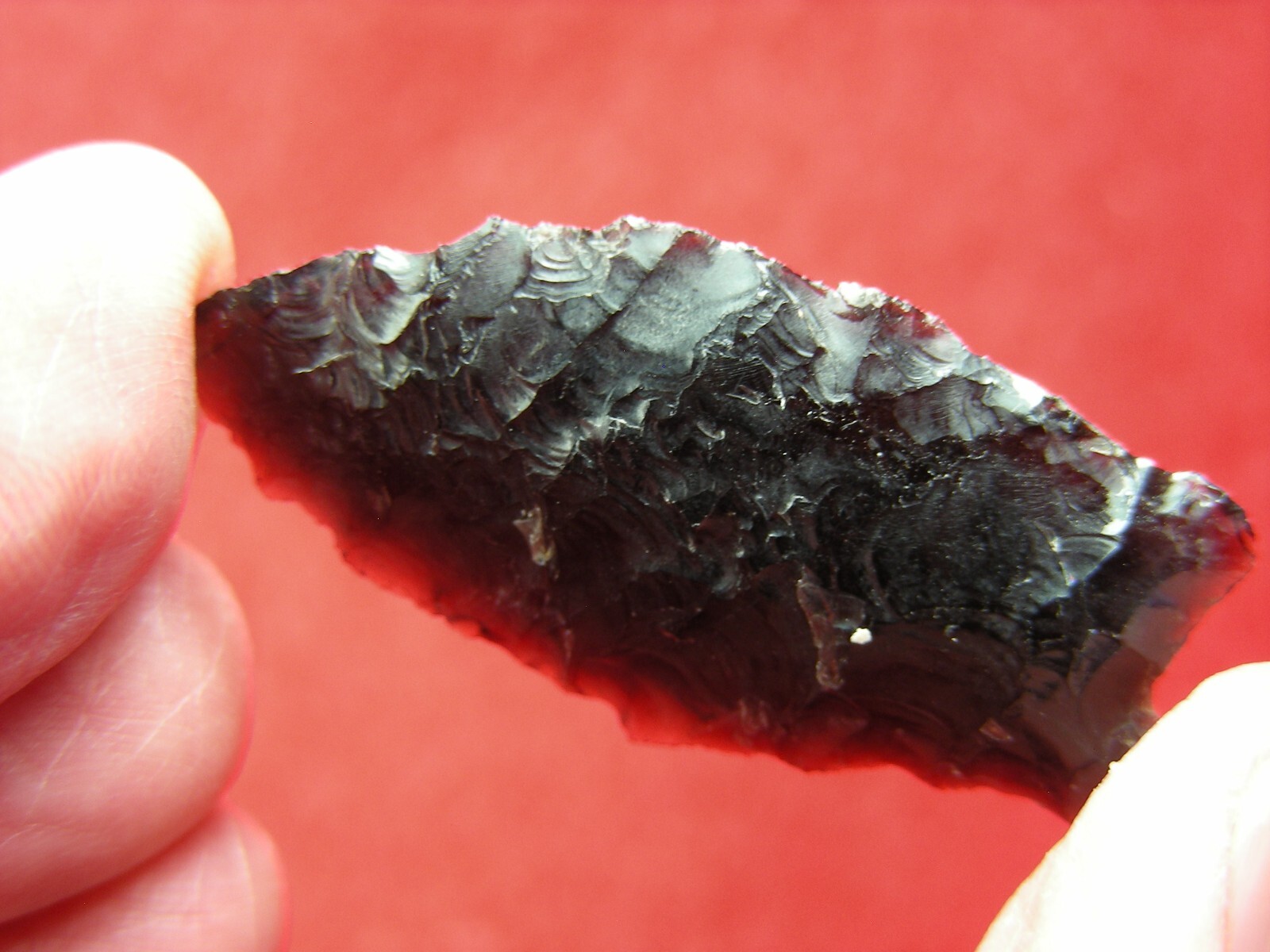 HUMBOLDT 1-1/2" CALIFORNIA Authentic Indian Relics