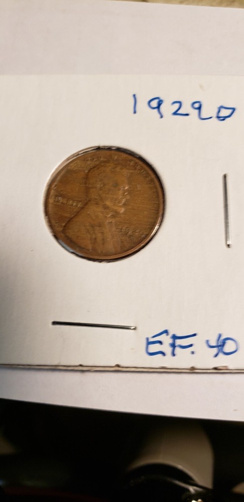 1929 D LINCOLN WHEAT PENNY CENT  EXTREMELY FINE CONDITION