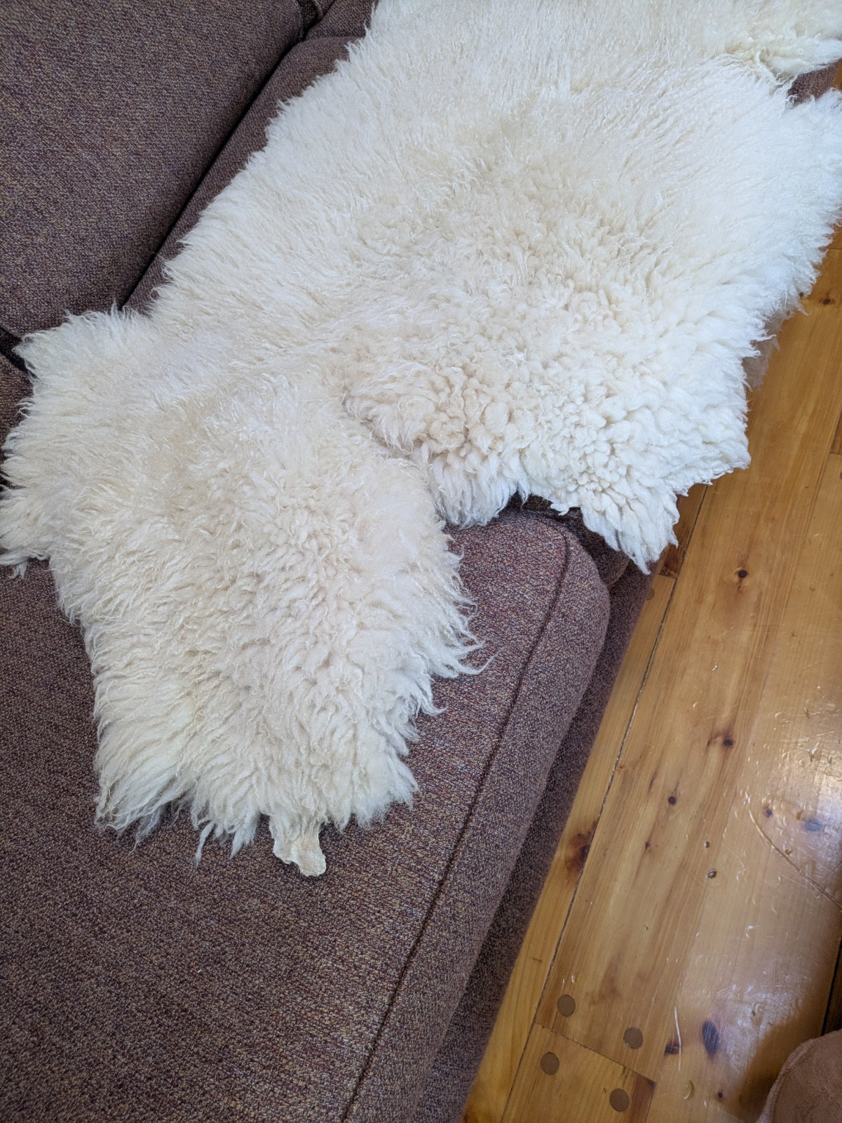 Champagne Color Curly Sheepskin Rug or Throw ,100% Natural Sheepskin