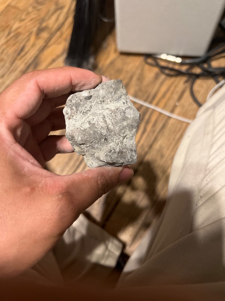 fossils other