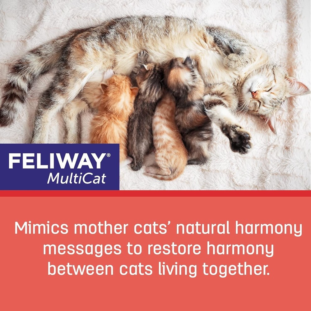 MultiCat Calming Pheromone, 30 Day Refill - 3 Pack