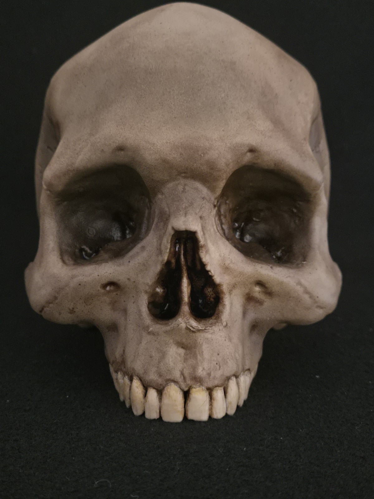 Skull Humanl Life Size Realistic