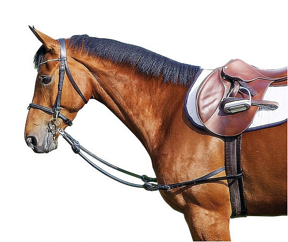FIXED LEATHER TRAINING KERNELS WITH RUBBER TIE ELASTIC SIDE REINS