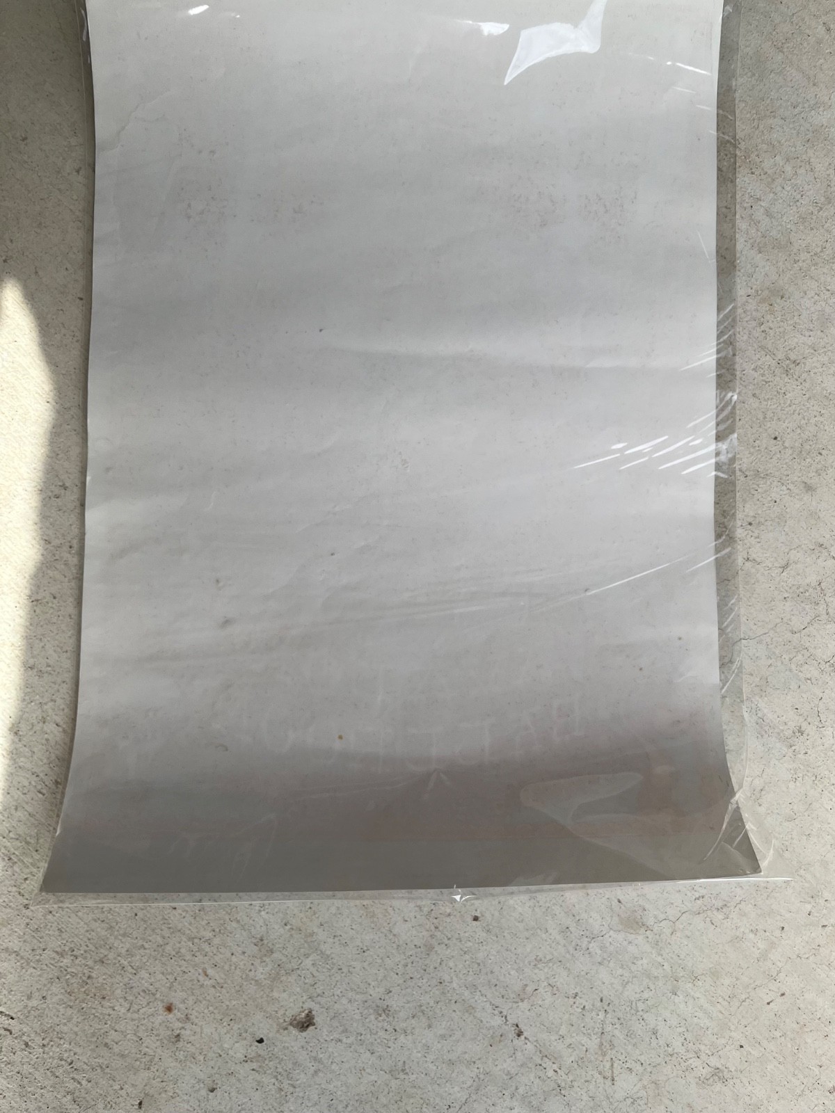 SANTANA 1968 FAMILY DOG CONCERT POSTER FD-119 JUNIOR WELLS NOT FOLDED 1ST PRINT