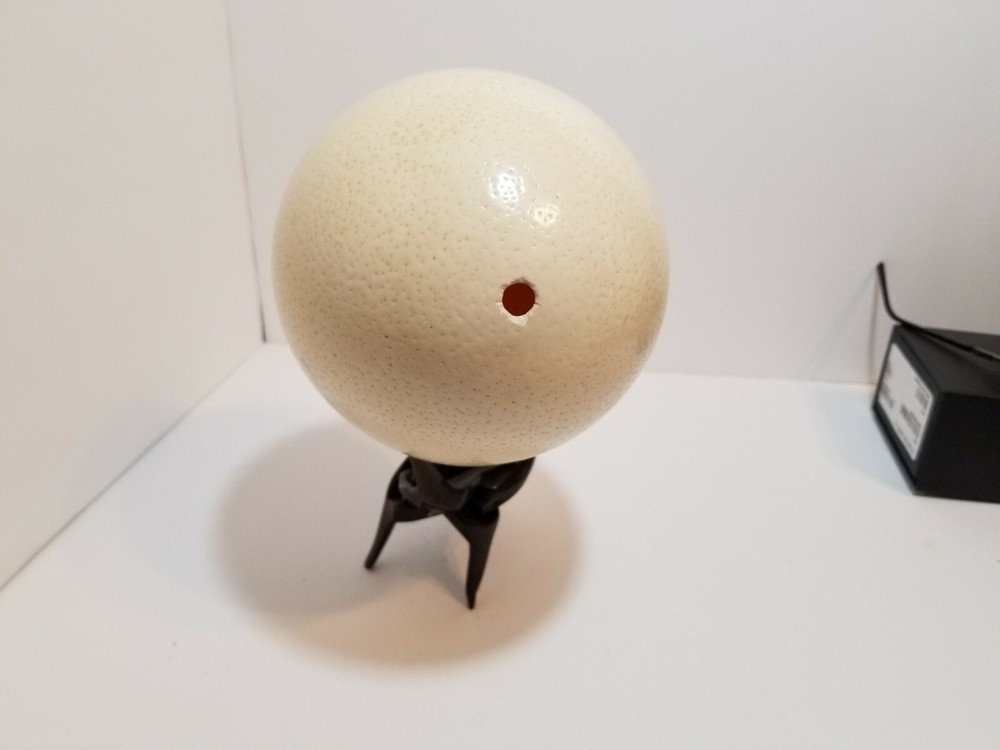 Domestic Ostrich Egg Stand Not Included