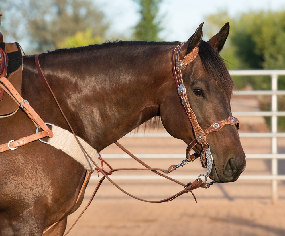 Weaver Leather, Working Tack Roper Rein