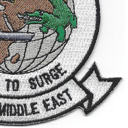 Fleet Surgical Team Four Patch