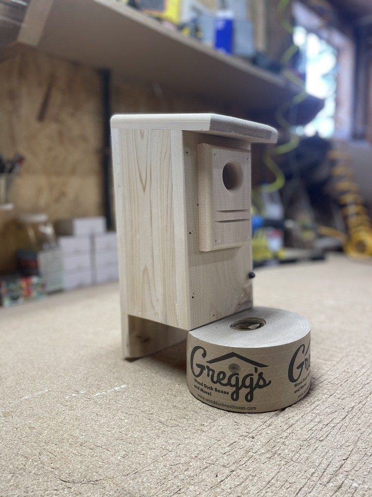 Downy woodpecker nest box