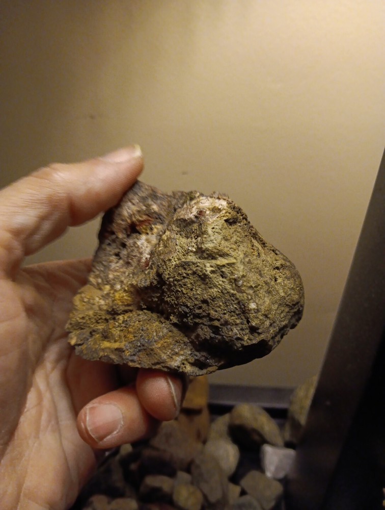 Calcopyrite* & Minerals Assorted