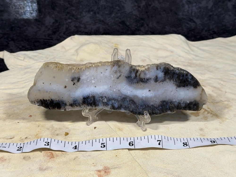 Snake River Dendritic Agate Slab, Lot #296
