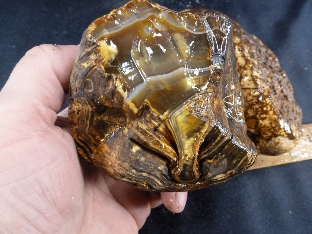 CSS: 2.14 lbs. (2) Uncut Brazilian Agate Nodules Agate Rough Rock