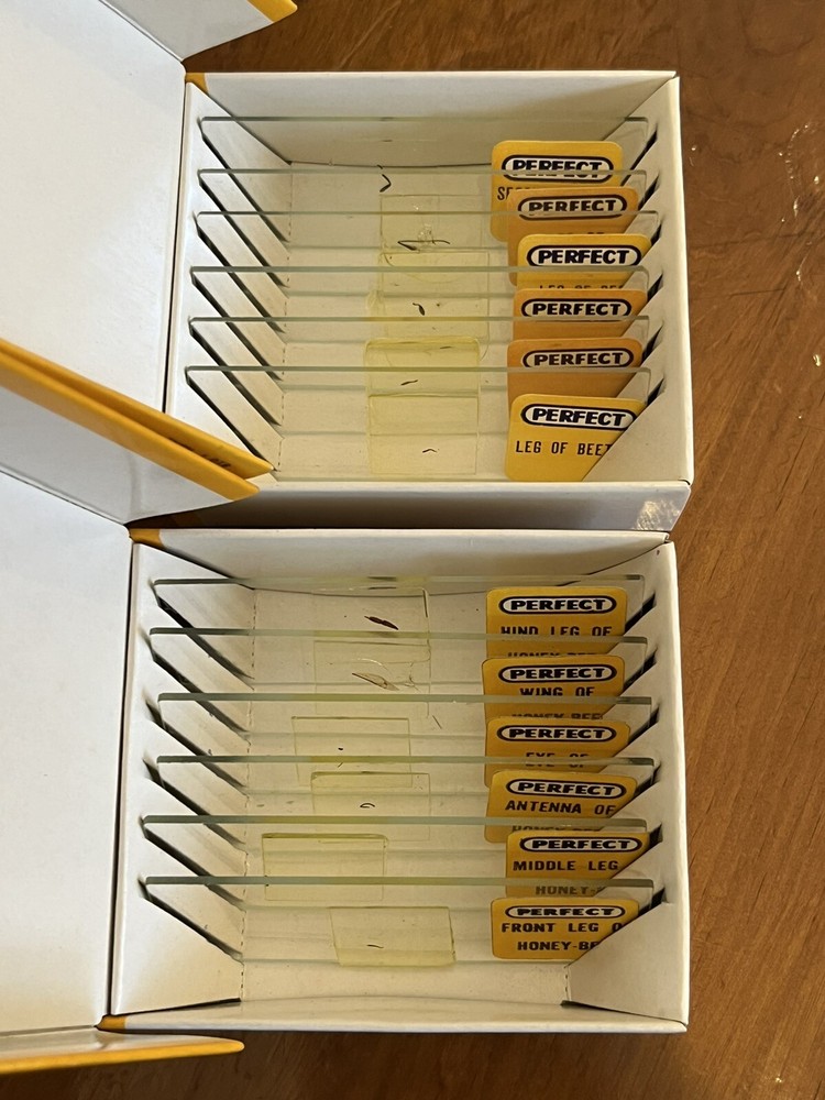 Vintage Graf Apsco Microscope with working Light c.1946