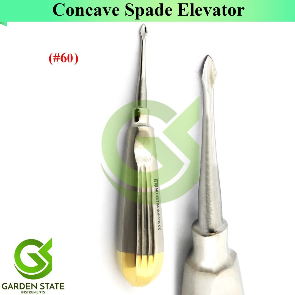 Dental Extraction Root Elevator #77R Tooth Spade Concave #60 Elevators Gold/H