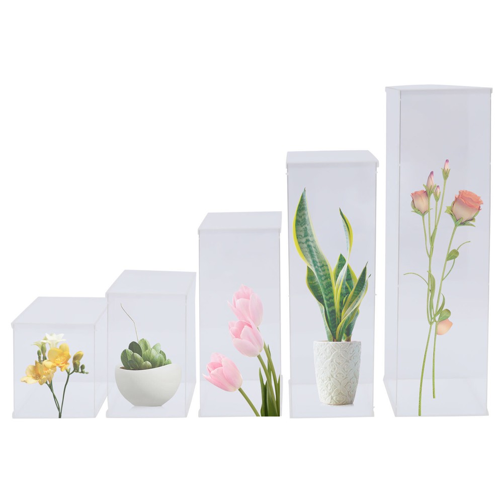 Acrylic Display Box Rectangular Floral Display Box Freestanding New 5 Pieces