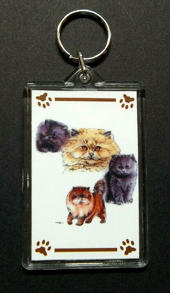 Persian Kittens* Keychain 2"x 3" ~ New
