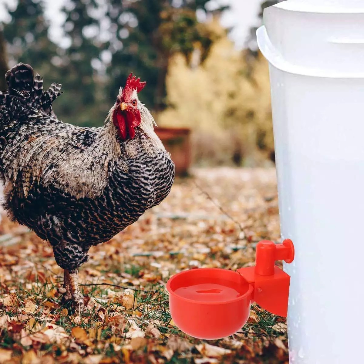 12 PCS Chicken Automatic Watering Cups Poultry Drinker Waterer Duck Quail Hen