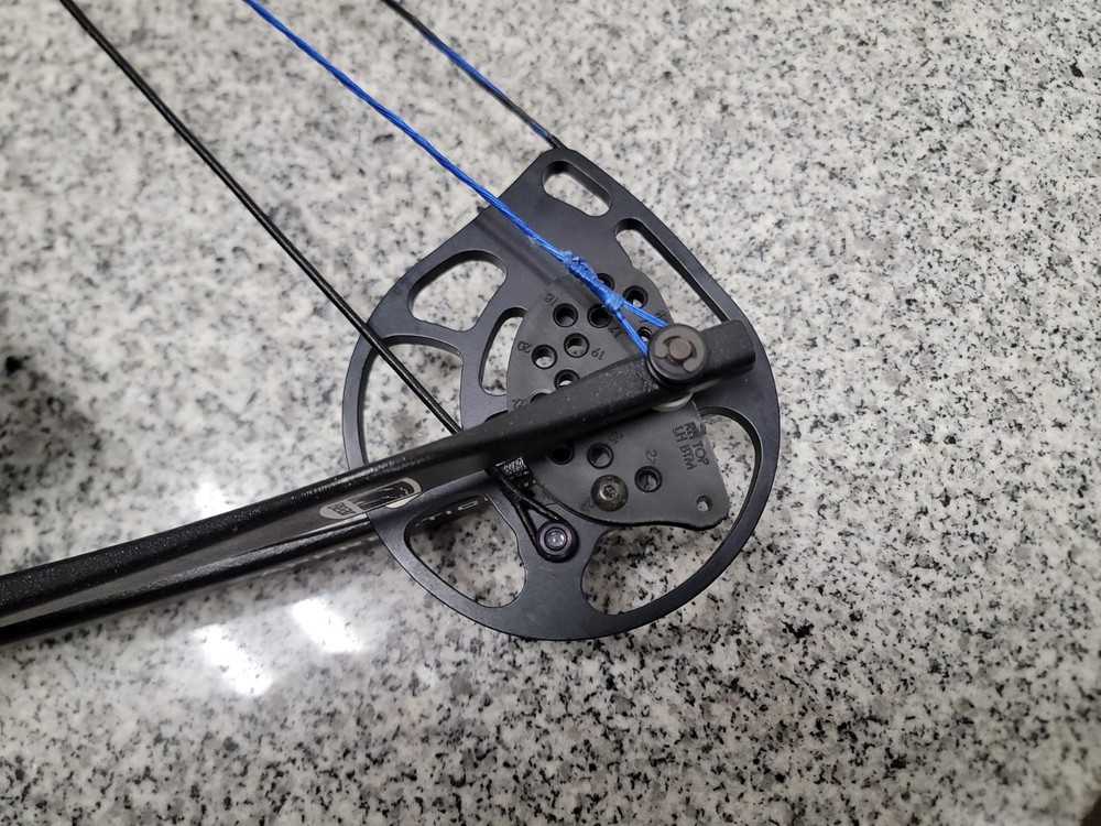 Bear Apprentice III 3 Youth Compound Bow