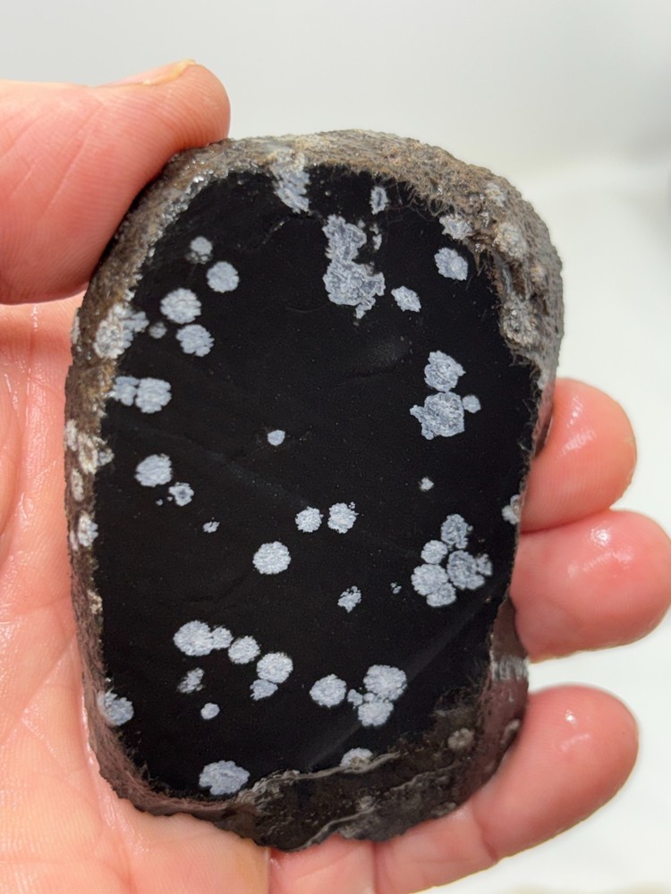 Snowflake Obsidian Slab Lapidary Cabbing Knapping Combo ship avail