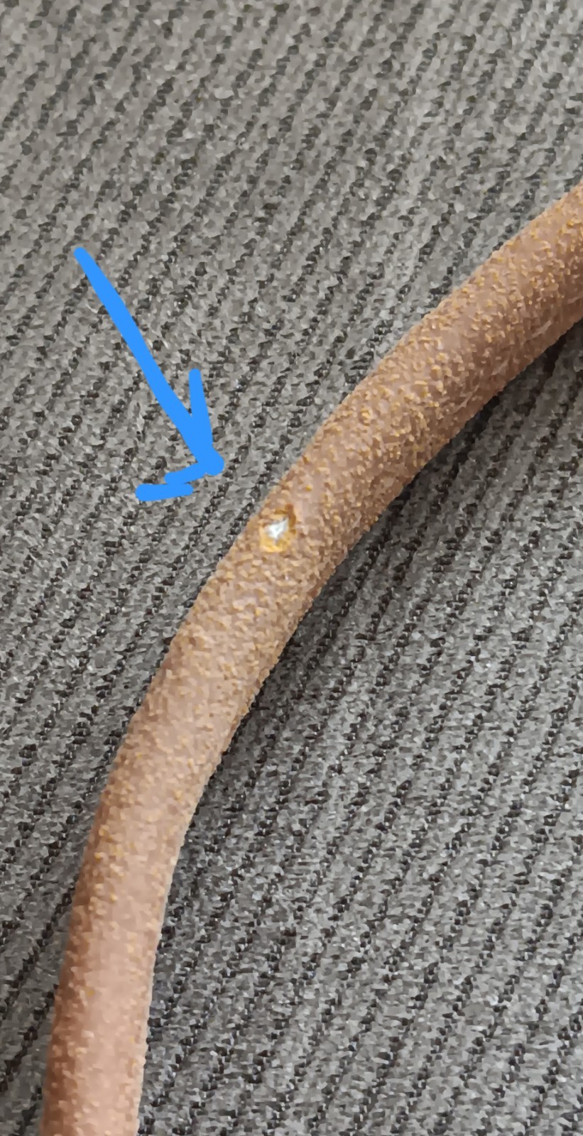 Danielle Nicole Disney Moana Kakamora Crossbody Bag Purse Rare find