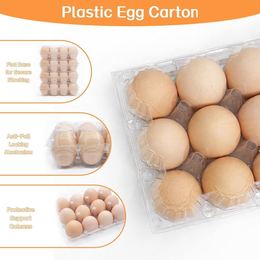 Plastic Egg Cartons 60 Pack 12 Count Cheap Bulk Clear Dozen Reusable Empty Eg...