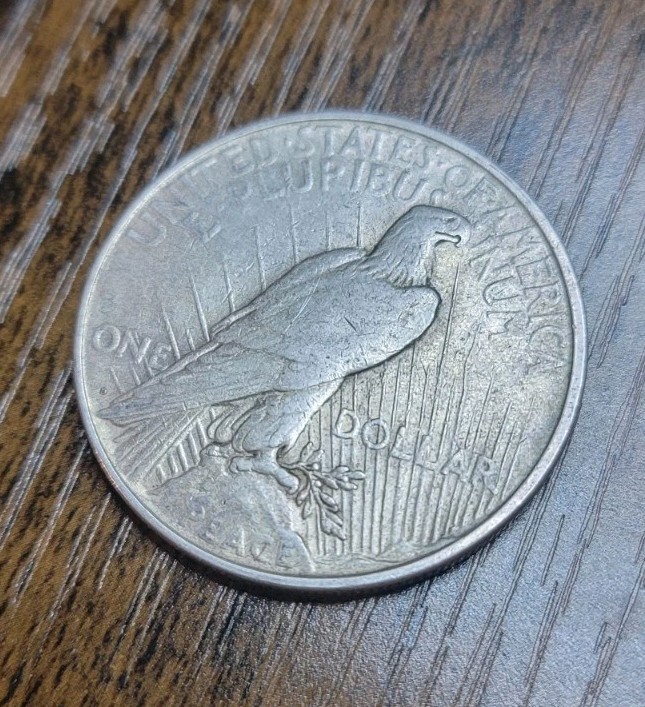 1922-D Peace Silver Dollar - Denver Mint- Raw Circulated Condition- Solid Coin!