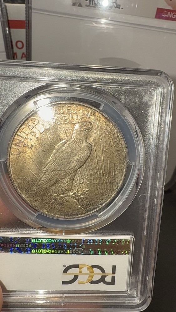 BEAUTIFUL! 1923-D Peace Silver Dollar, PCGS MS-64!