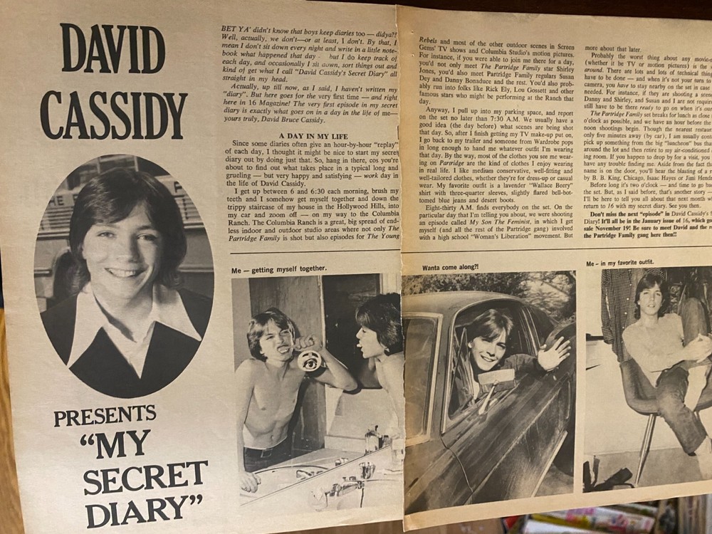 David Cassidy, Two Page Vintage Clipping