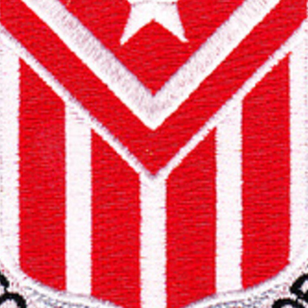 554th Engineer Battalion Patch