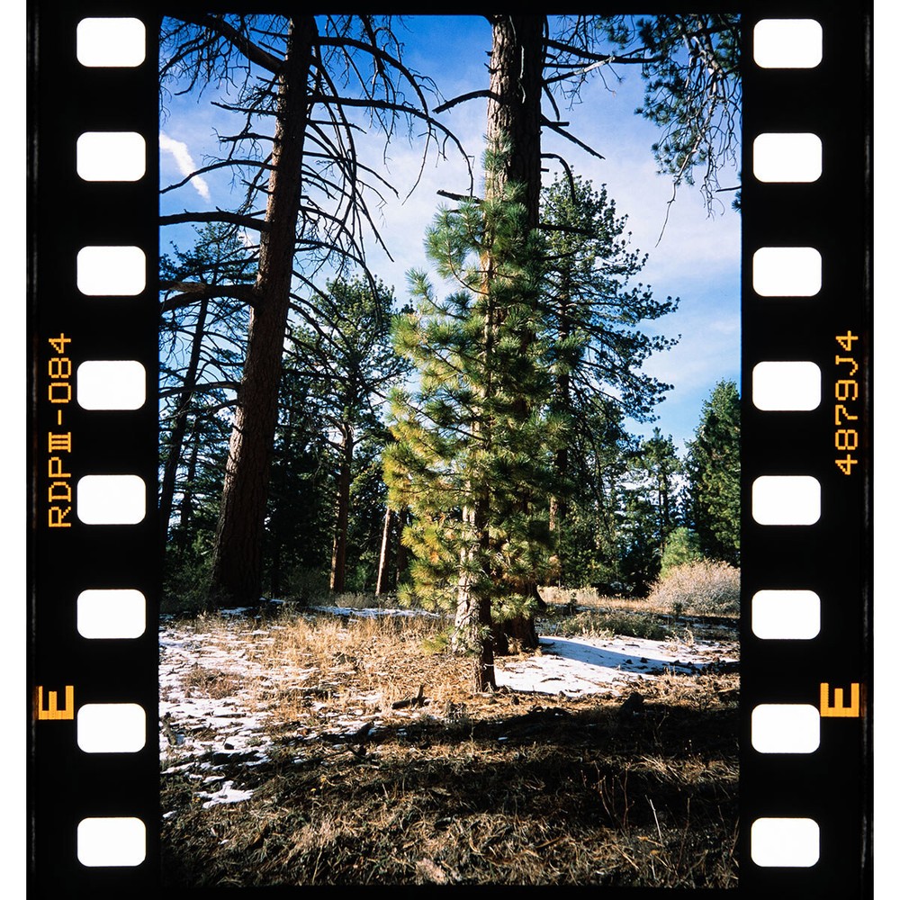 Negative Supply Full-Border Scanning Cassette for Pro/Basic Film Carrier 35 MK2