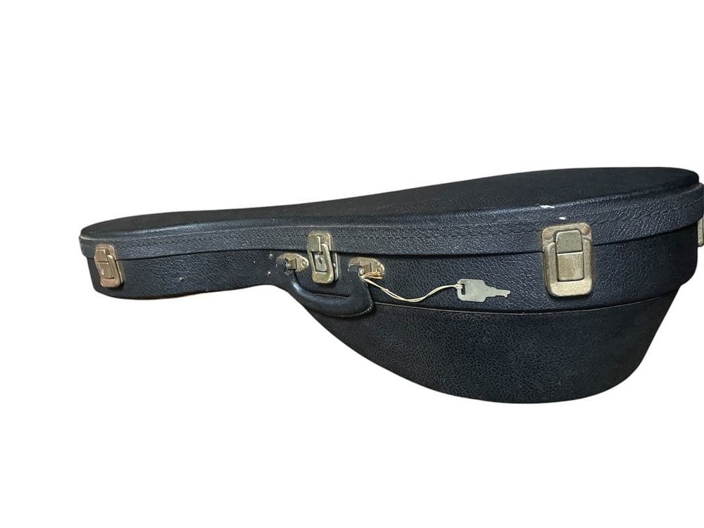 Suzuki violin mandolin M-218 with hard case