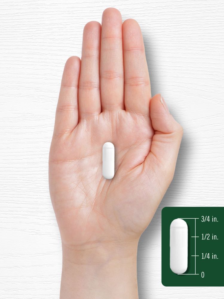 Devils Claw 2000mg | 200 Capsules | Concentrated Root Extract | by Carlyle