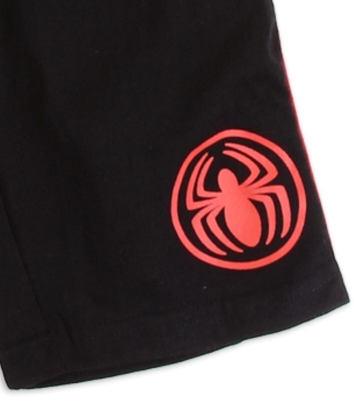 Marvel ☆ Spiderman Boys' Spidey-Face Shirt and Shorts Set ☆ Sizes 2T-4T, 4-7