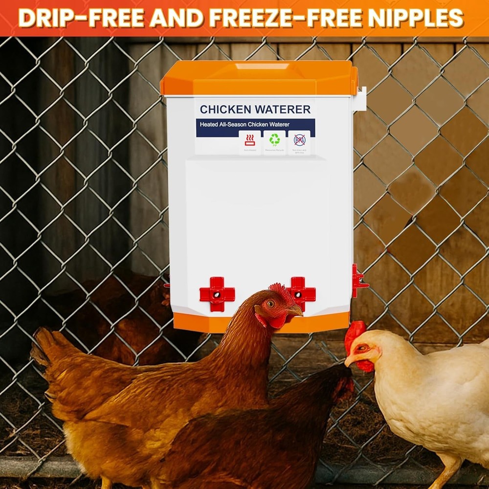 Automatic Chicken Waterer Large Poultry System with Free Shipping