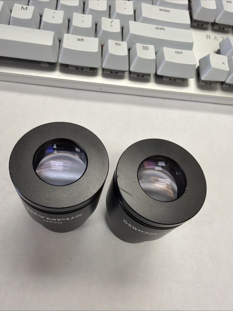 Olympus Microscope Eyepieces Pair (2) GSWH30X/7