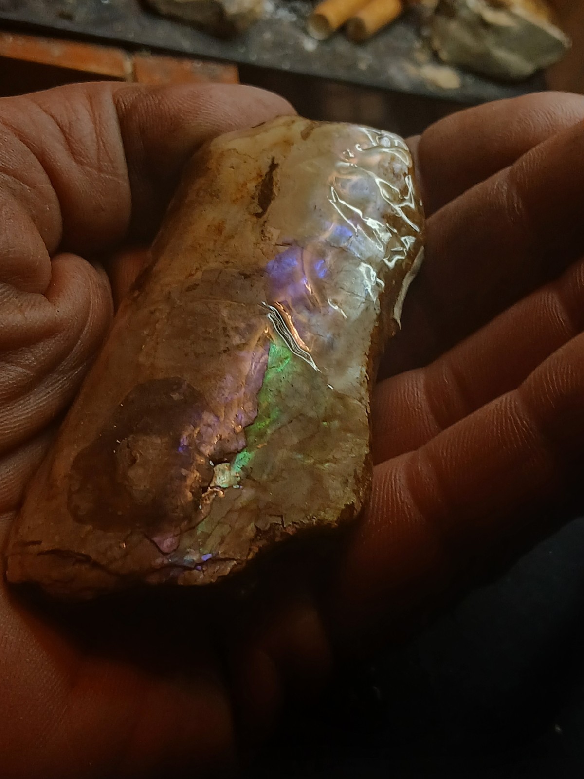 Brilliantly Colored Baculite/Iridescent/Opalized/Ammolite Gemstone