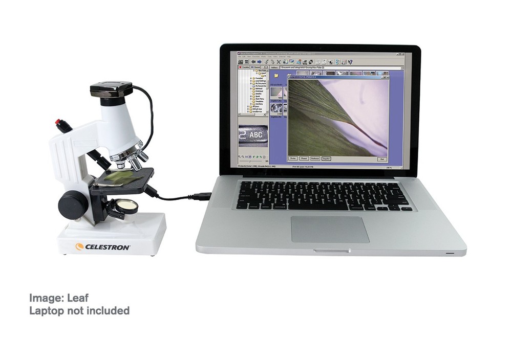 Celestron Digital Microscope Kit USB Magnifier Camera for Science & Education