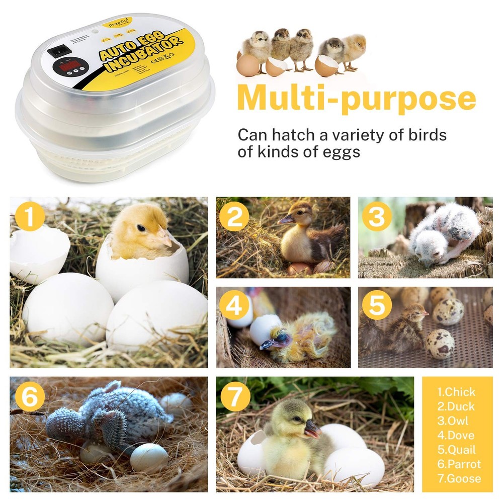 Mini Egg Incubators for Hatching Eggs, with Automatic Egg Turning, 9-12 Eggs ...