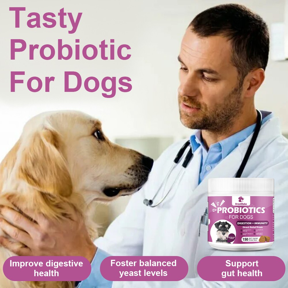 Probiotics for Dogs Soft Chews for Seasonal Allergies, Gut, and Digestive Health