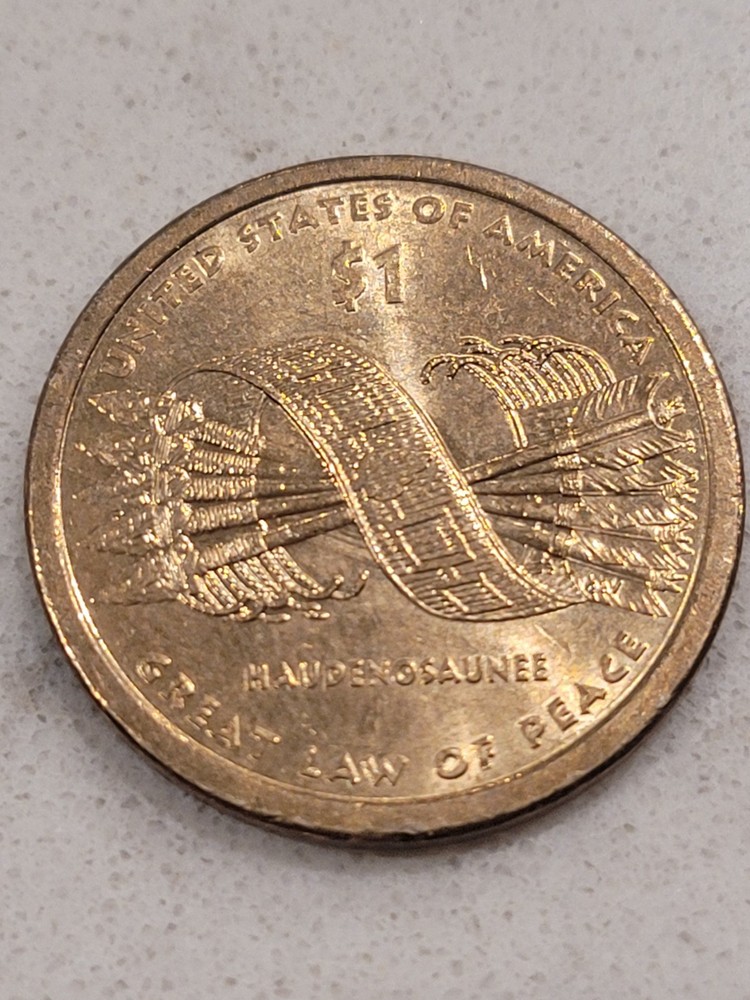 2010p Sacagawea One Dollar/Error