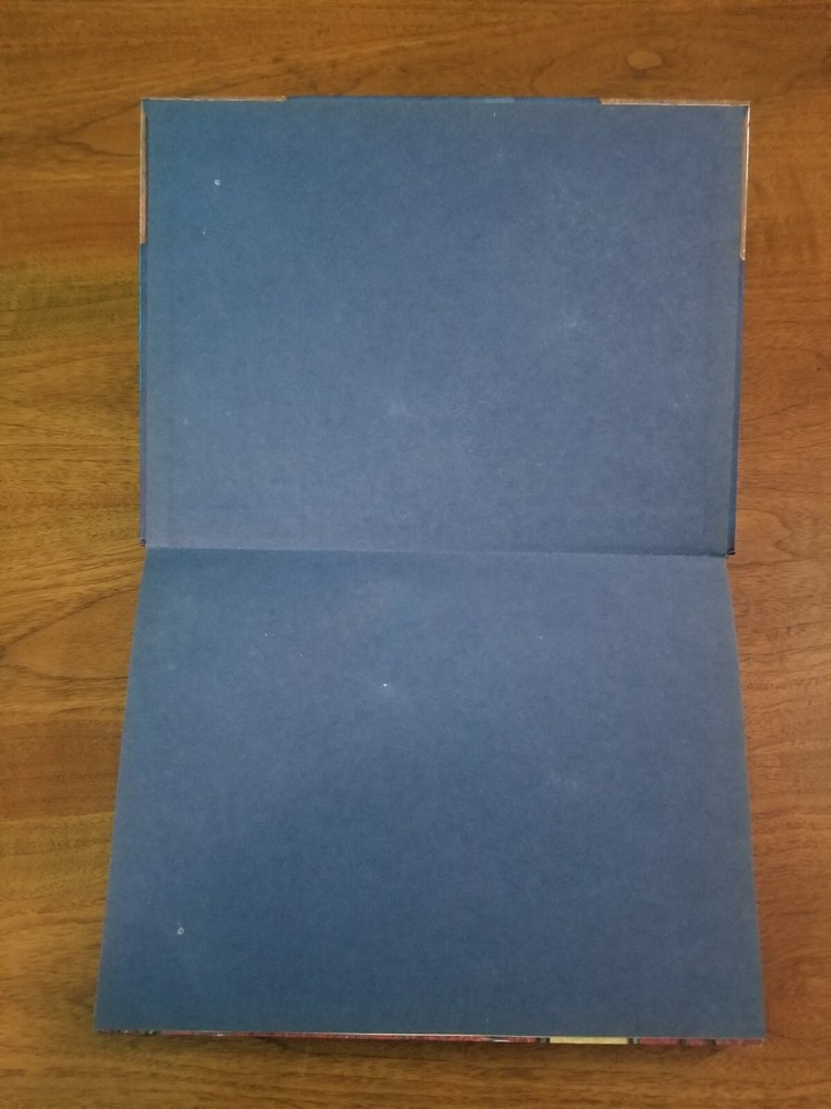 Dungeon Master's Guide Solid Condition 3rd Edition DM Guide