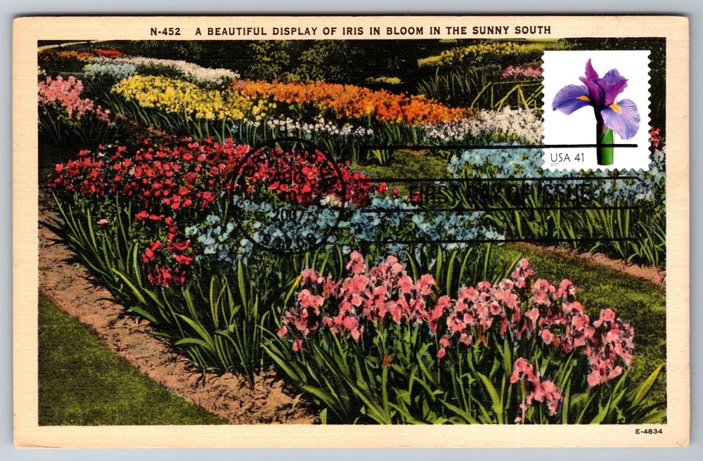 #4178 Beautiful Blooms Iris FDC Maxi Card