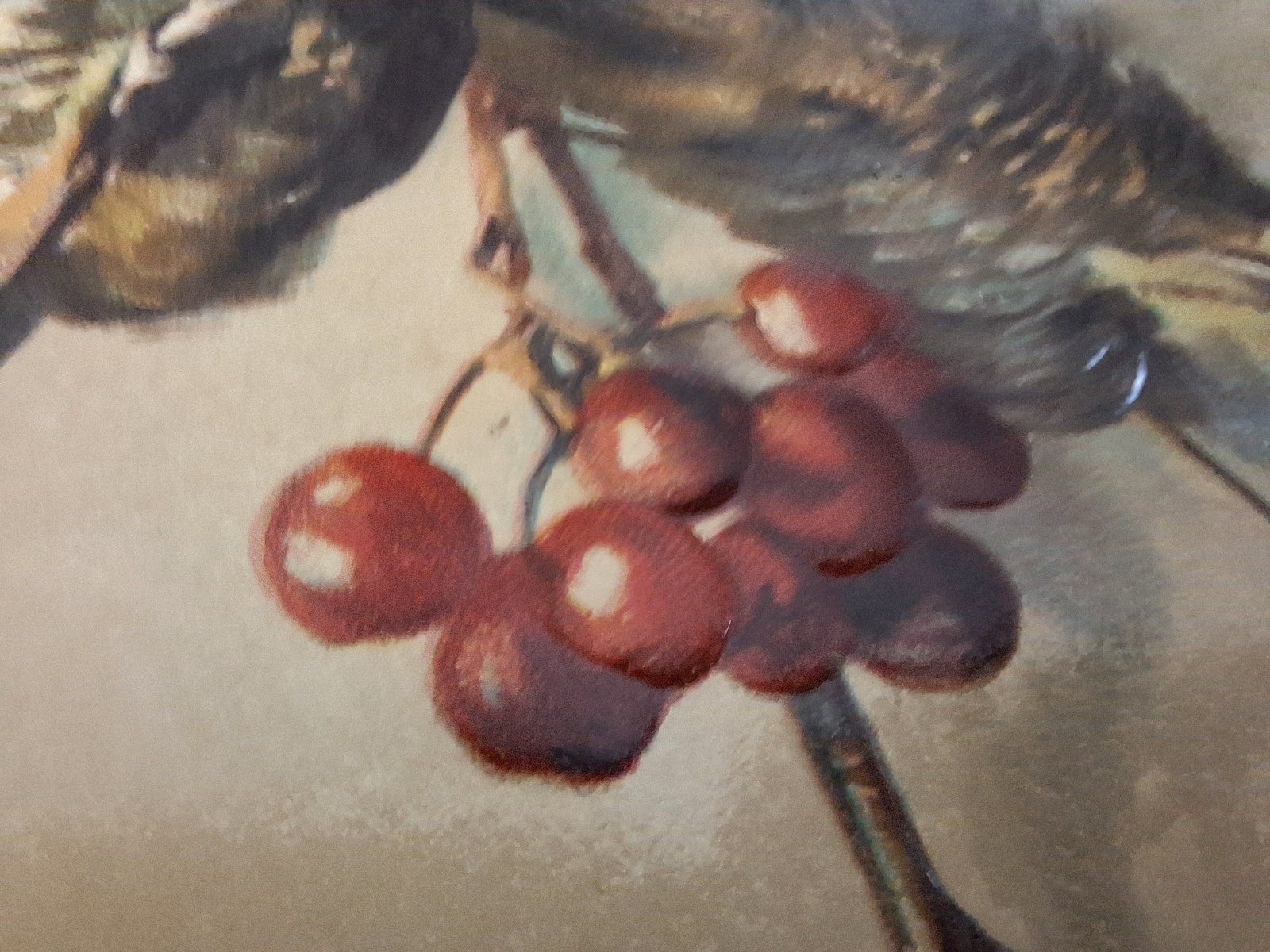 Game Birds Victorian Quail Cranberries Antique Embossed Chromolithograph