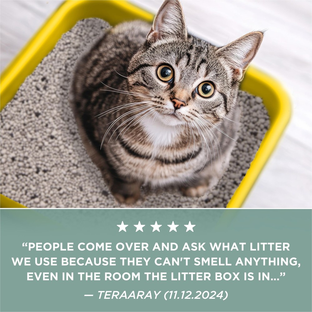Clumping Cat Litter for Multiple Cats - Odor Control, Unscented - 16 lb